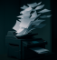Why Your Office Printer Might Be a Huge Cybersecurity Risk